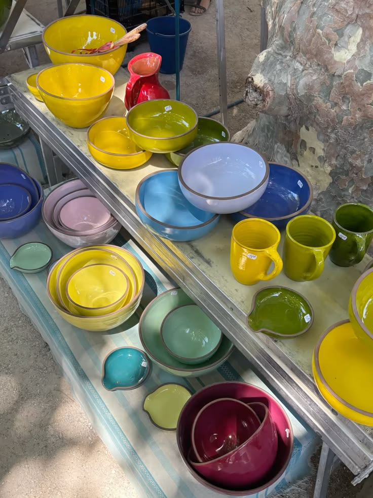 Dinner Plates